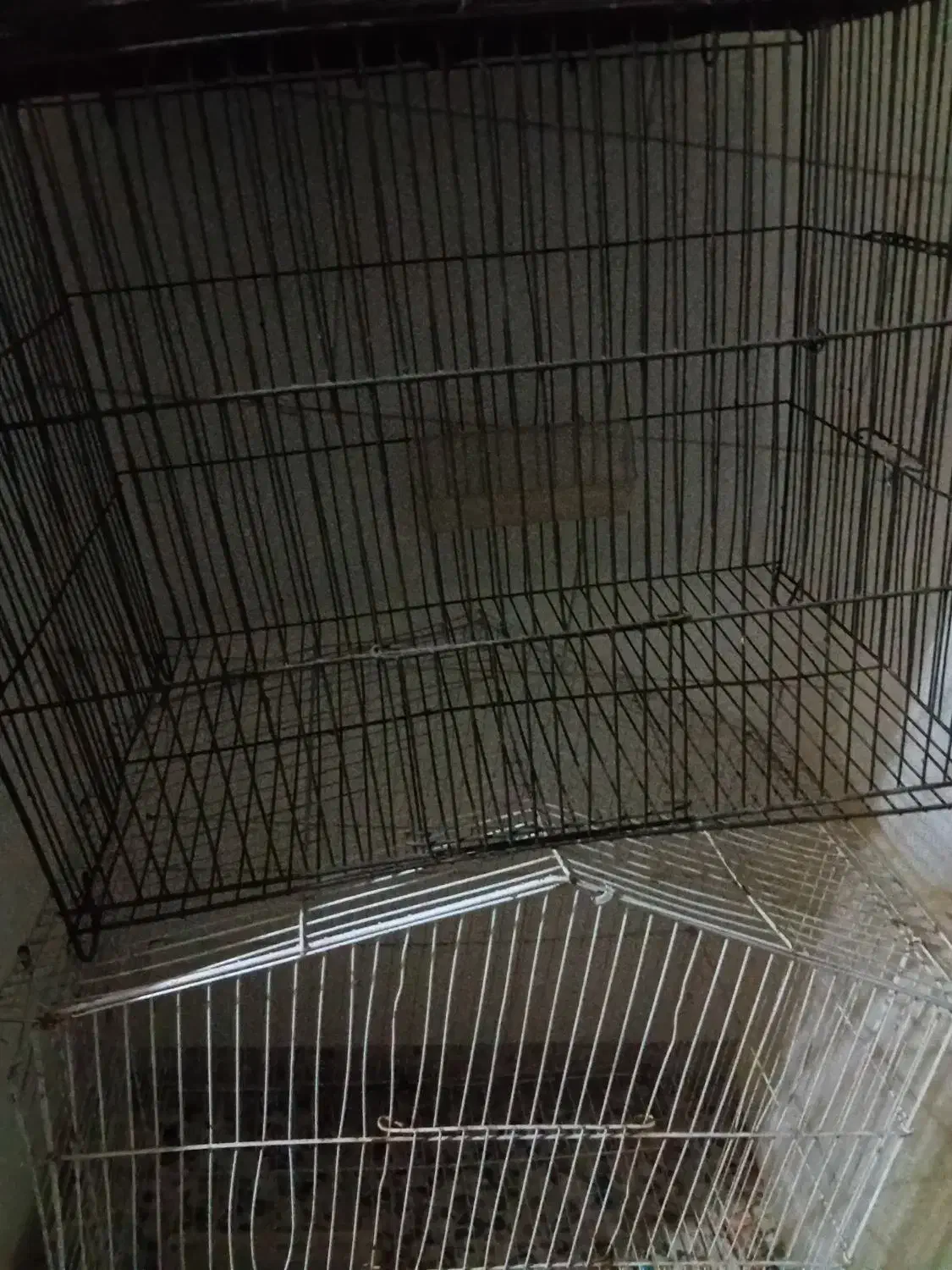 قفس پرنده|لوازم جانبی حیوانات|اندیمشک, |دیوار