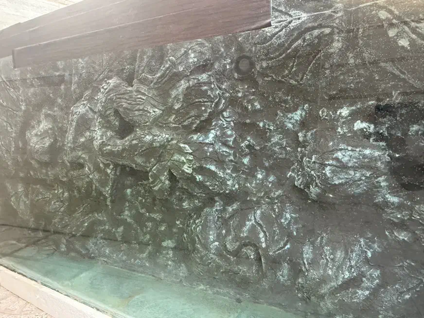 اکواریم حرفه ای|ماهی|سیرجان, |دیوار