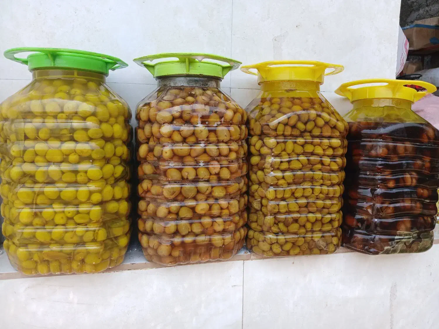 کلکسیون زیتون|کلکسیون و سرگرمی|رودبار, |دیوار