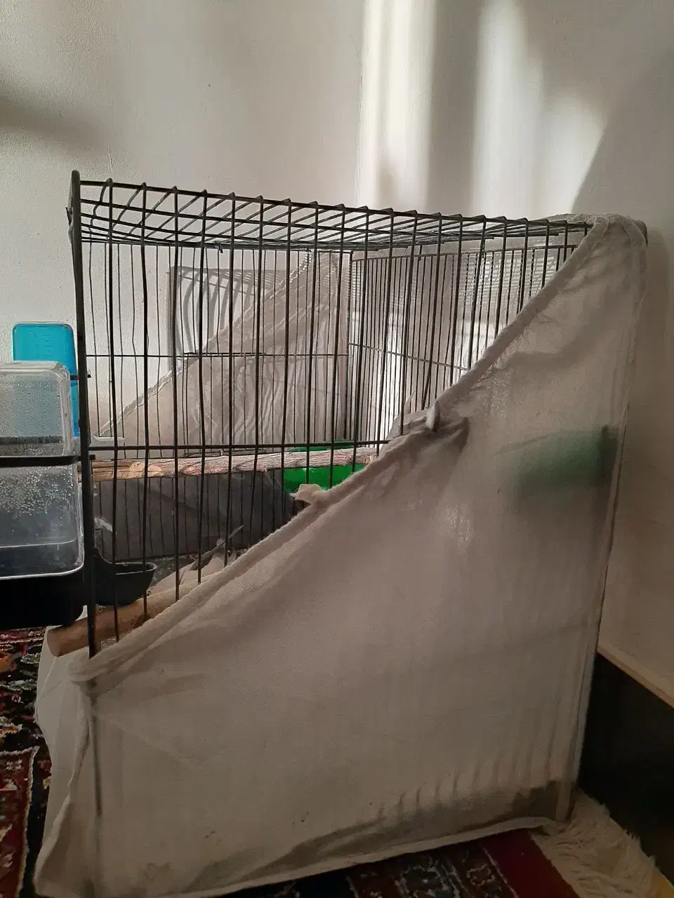 قفس|لوازم جانبی حیوانات|هشتگرد, شهرک صنعتی هشتگرد|دیوار