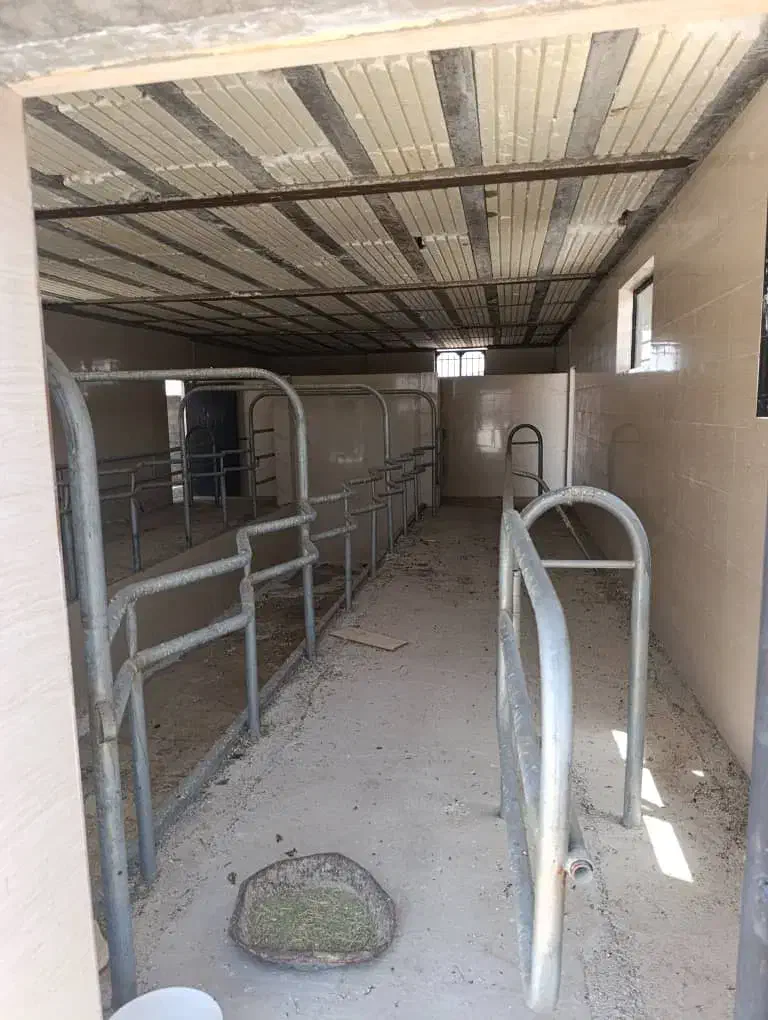 فروش گاوداری شیری صنعتی ۴۰۰۰ متری|فروش دفتر صنعتی، کشاورزی، تجاری|شیراز, کوشک بیدک|دیوار