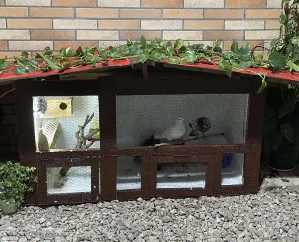 فروش قفس پرندگان و حیوانات خانگی|لوازم جانبی حیوانات|گلوگاه بابل (گلیا), |دیوار