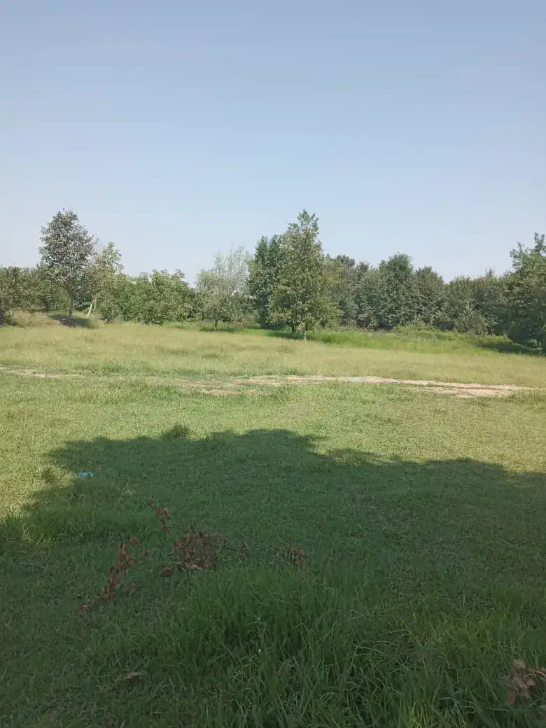 500 متر زمین رشت پاکت سازی|فروش زمین و ملک کلنگی|رشت, گلسار|دیوار