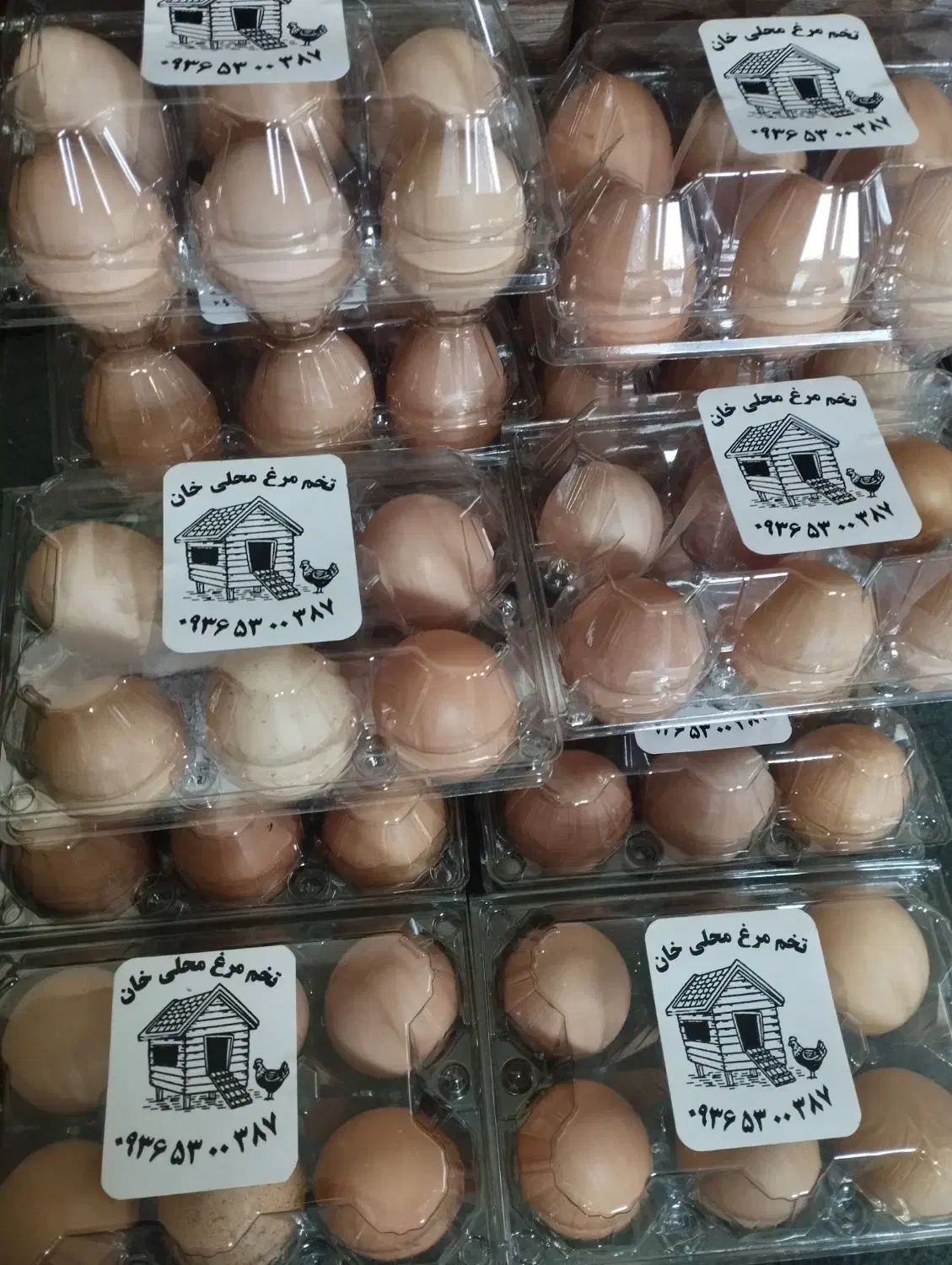 تخم مرغ محلی|خوردنی و آشامیدنی|تهران, پارک شهر|دیوار