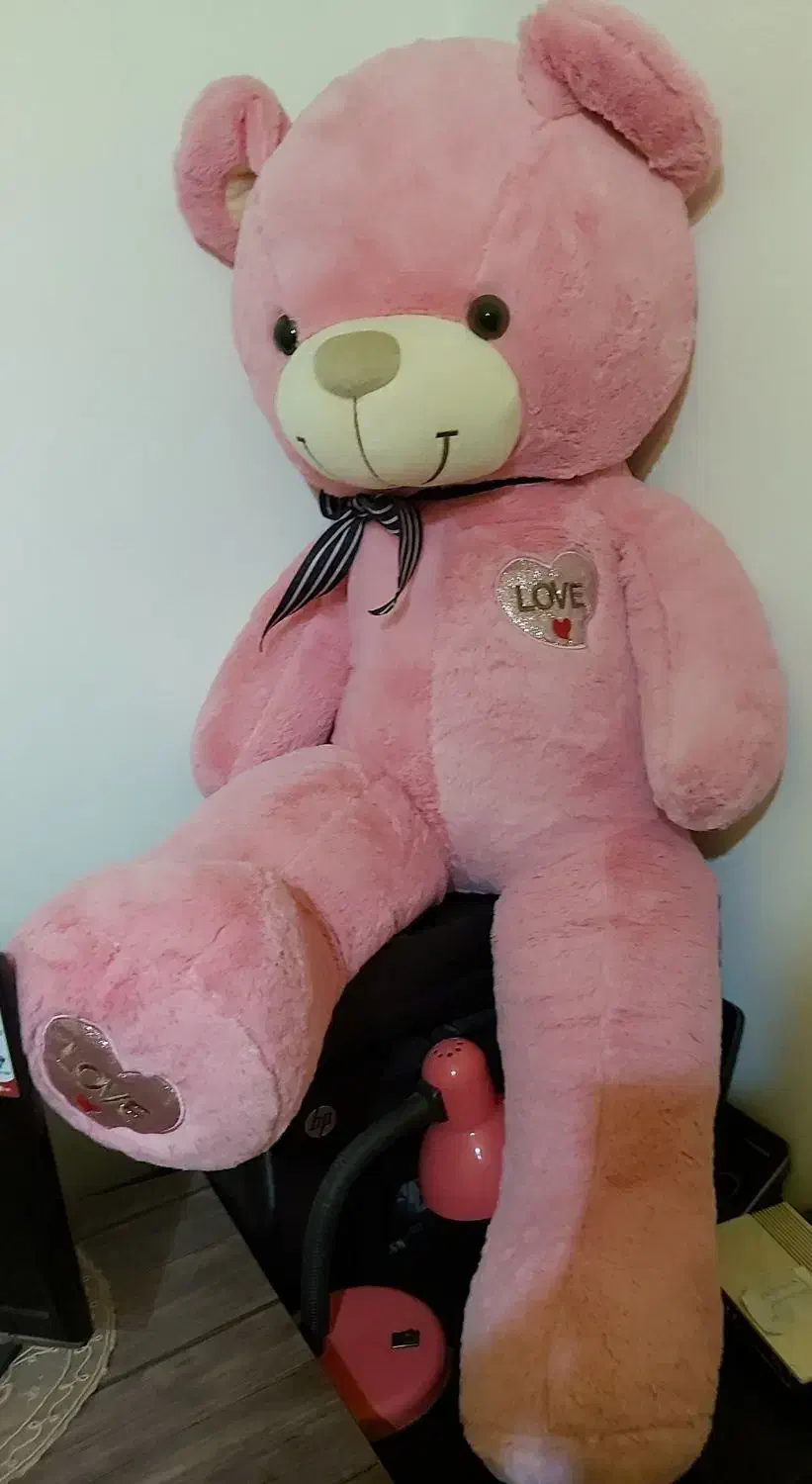 خرس ولنتاین|اسباببازی بچه|مشهد, سجاد شهر|دیوار