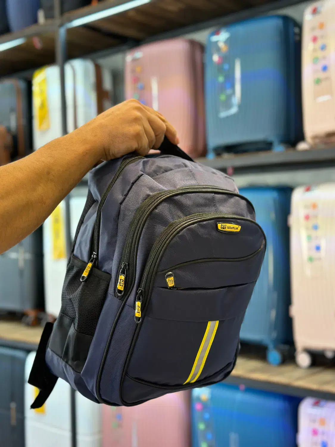 کوله|کیف، کفش، کمربند|کرج, دولتآباد|دیوار