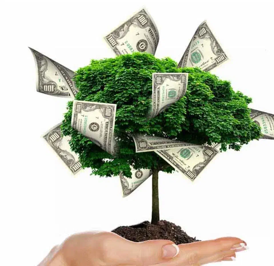 نیازمند سرمایه گذار در آموزشگاه|خدمات آرایشگری و زیبایی|تهران, محمودیه|دیوار