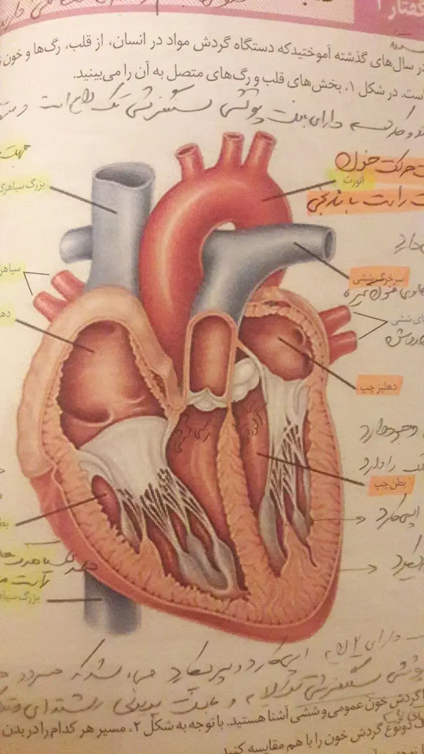 تدریس گروهی وخصوصی زیست وشیمی باکمترین هزینه|خدمات آموزشی|تبریز, |دیوار