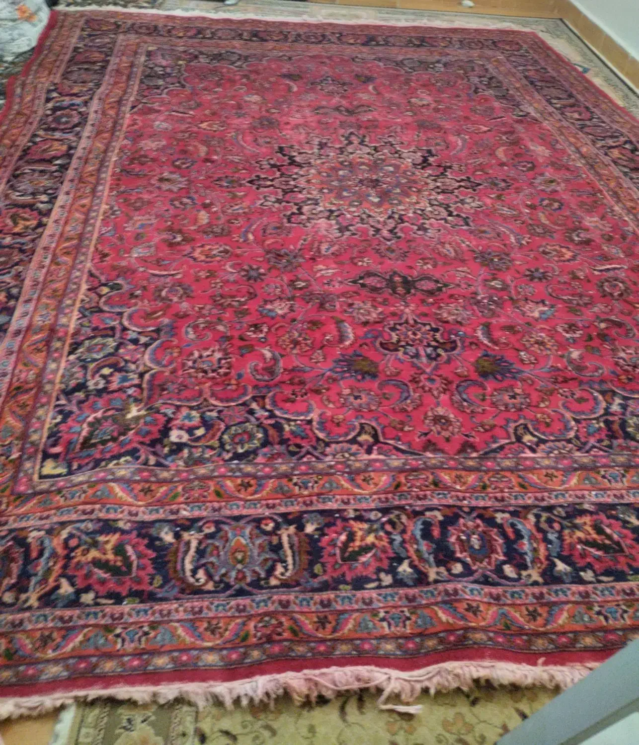 فرش ۱۲متری دستباف|فرش|مراغه, |دیوار