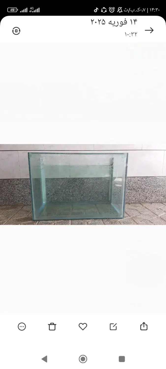 آکواریوم|ماهی|ابریشم, |دیوار