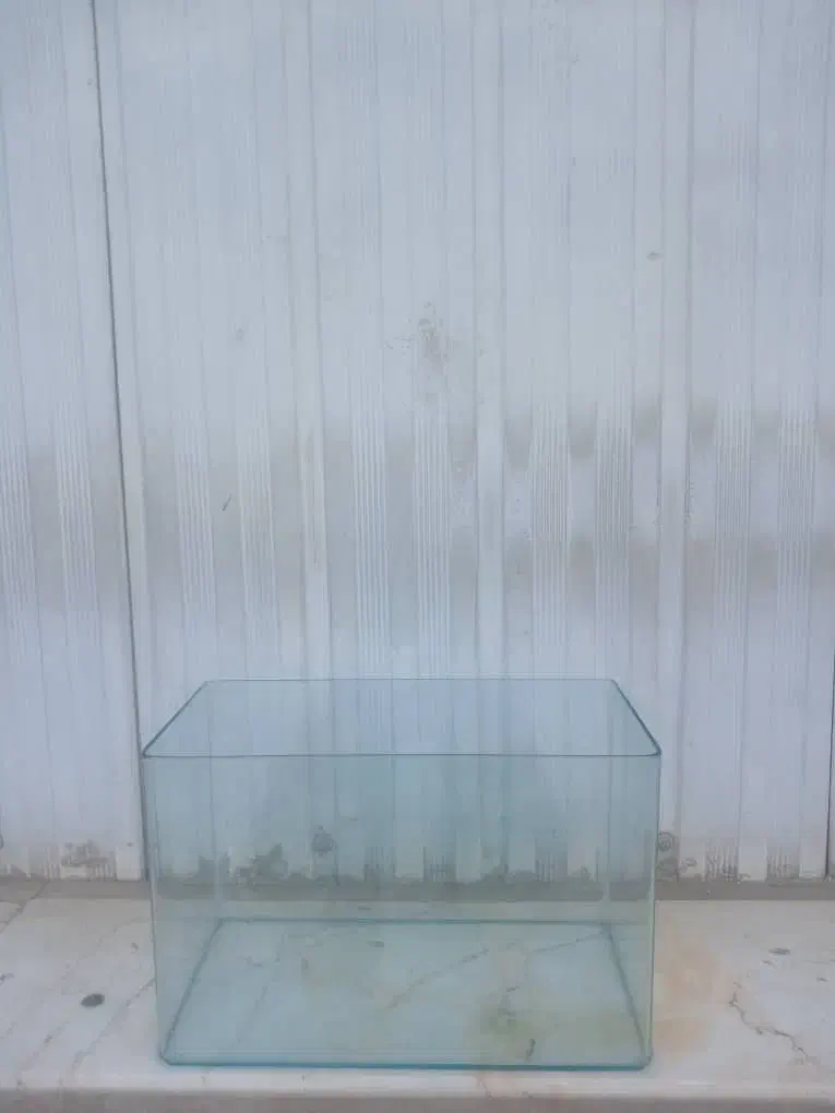 آکواریوم ماهی|ماهی|ری, تقی آباد|دیوار