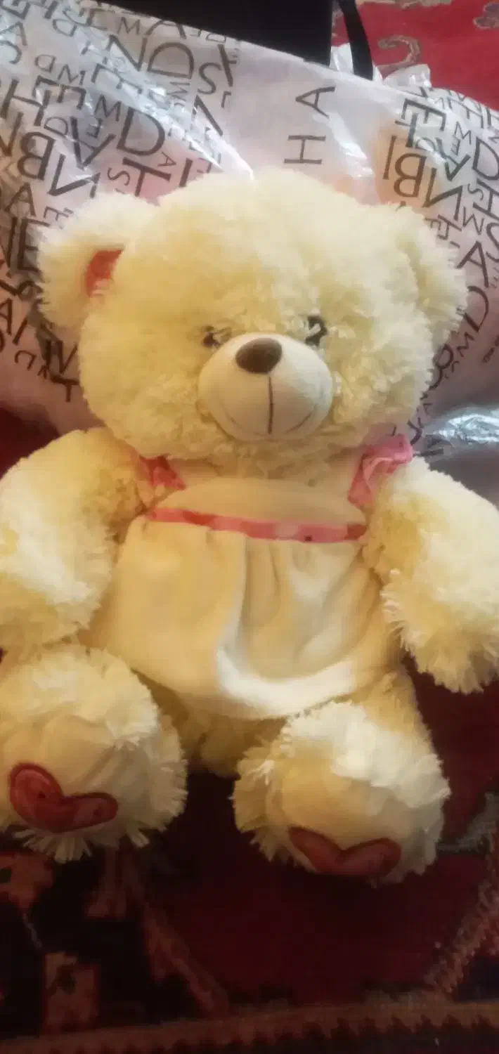 عروسک خرسی نو|اسباببازی بچه|زنجان, |دیوار