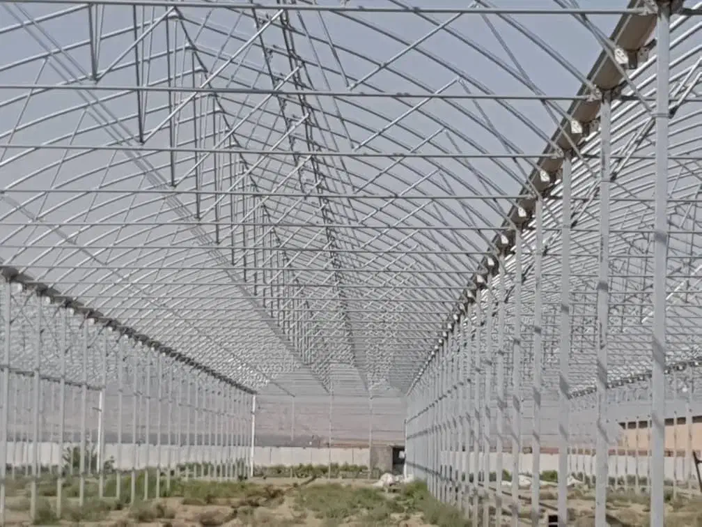 شرکت گلخانه سازان ژیانا آوین آژین زاگرس|خدمات باغبانی و درختکاری|سنندج, |دیوار