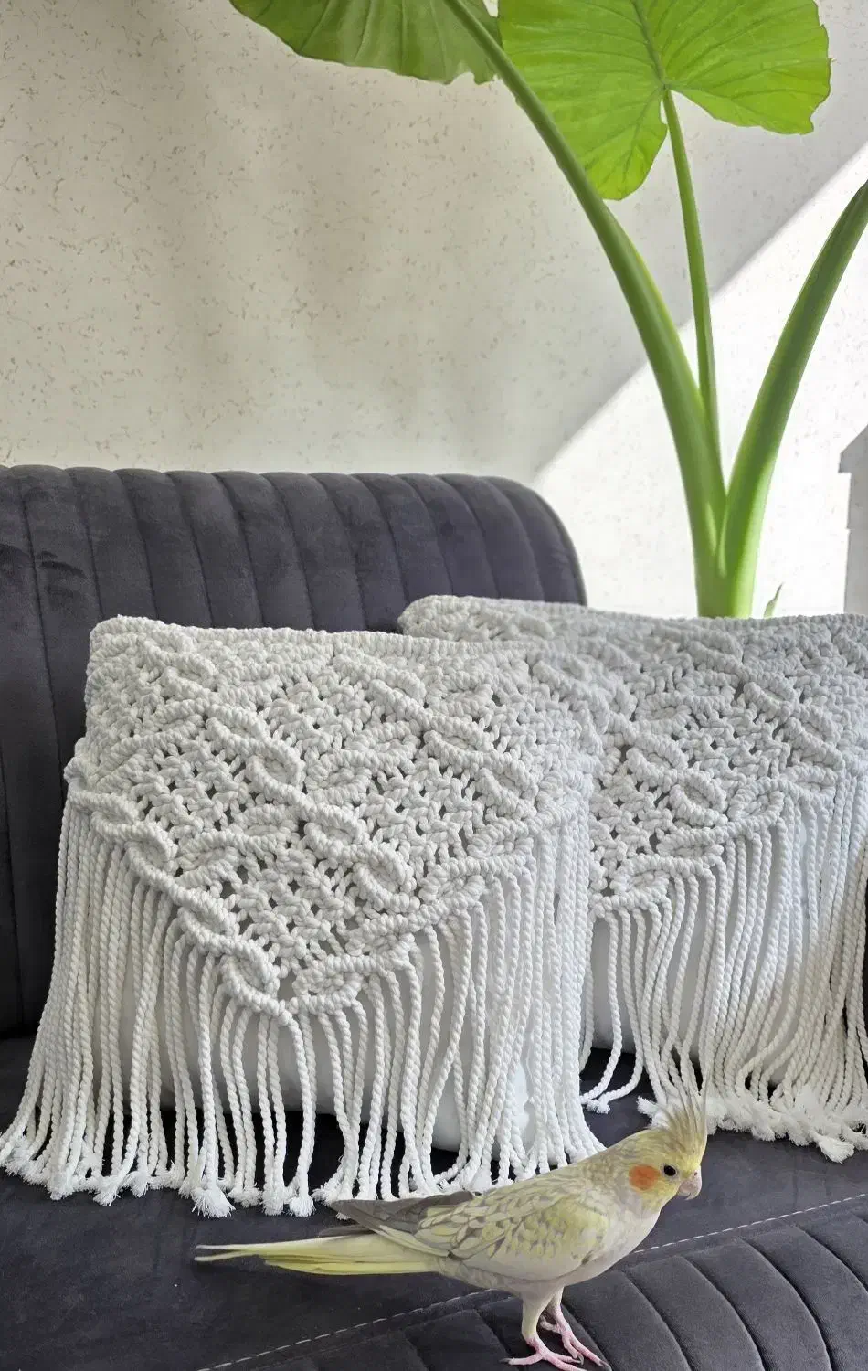 کوسن و دیوارکوب|صنایع دستی و سایر لوازم تزئینی|تهران, میدان ولیعصر|دیوار