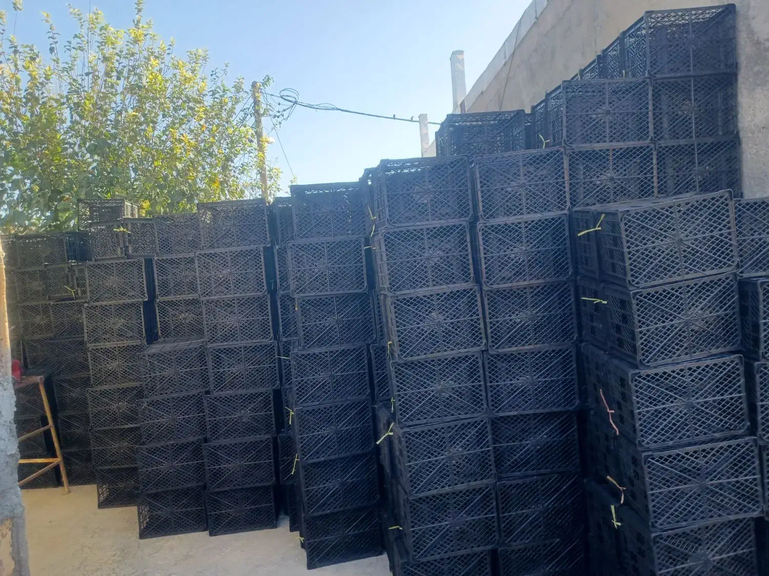 سبد انار|ظروف نگهدارنده، پلاستیکی، یکبارمصرف|کوهنانی, |دیوار