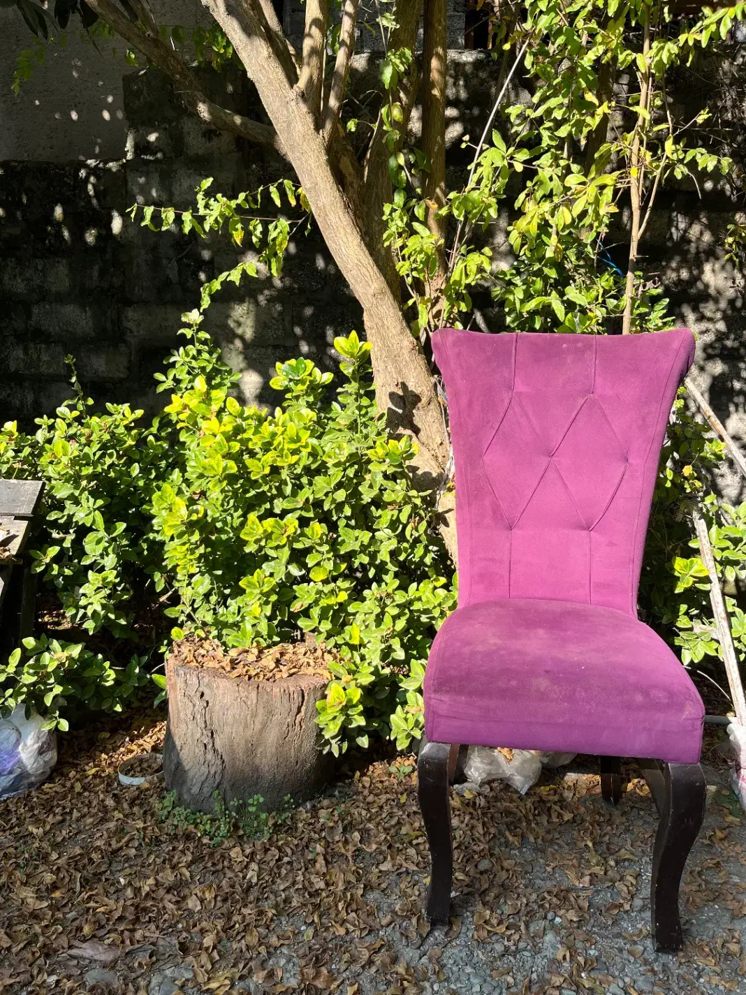 صندلی چوبی|میز و صندلی غذاخوری|کتالم و سادات شهر, |دیوار