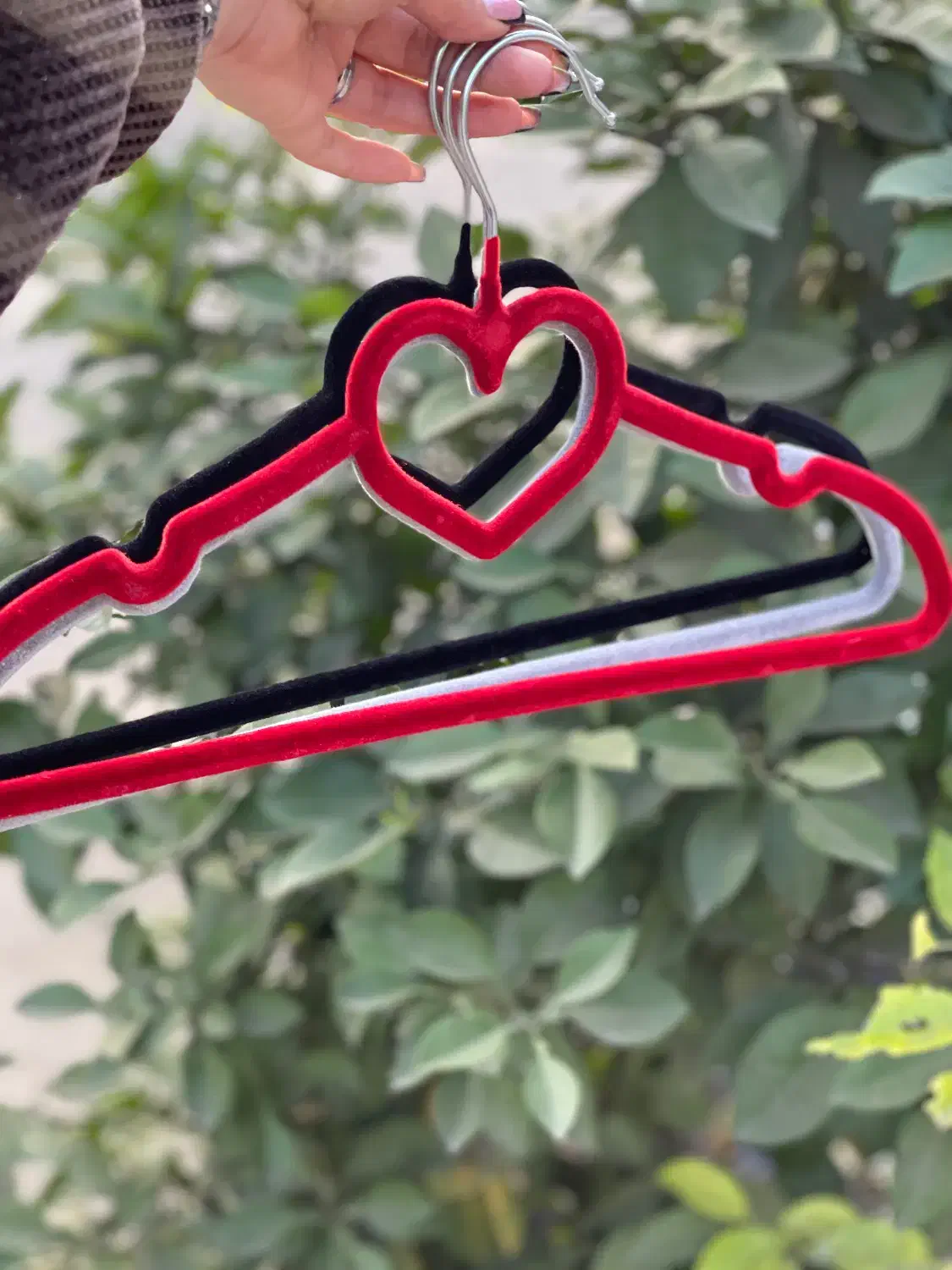 چوب لباسی|بندرخت و رختآویز|لاهیجان, گلستان|دیوار