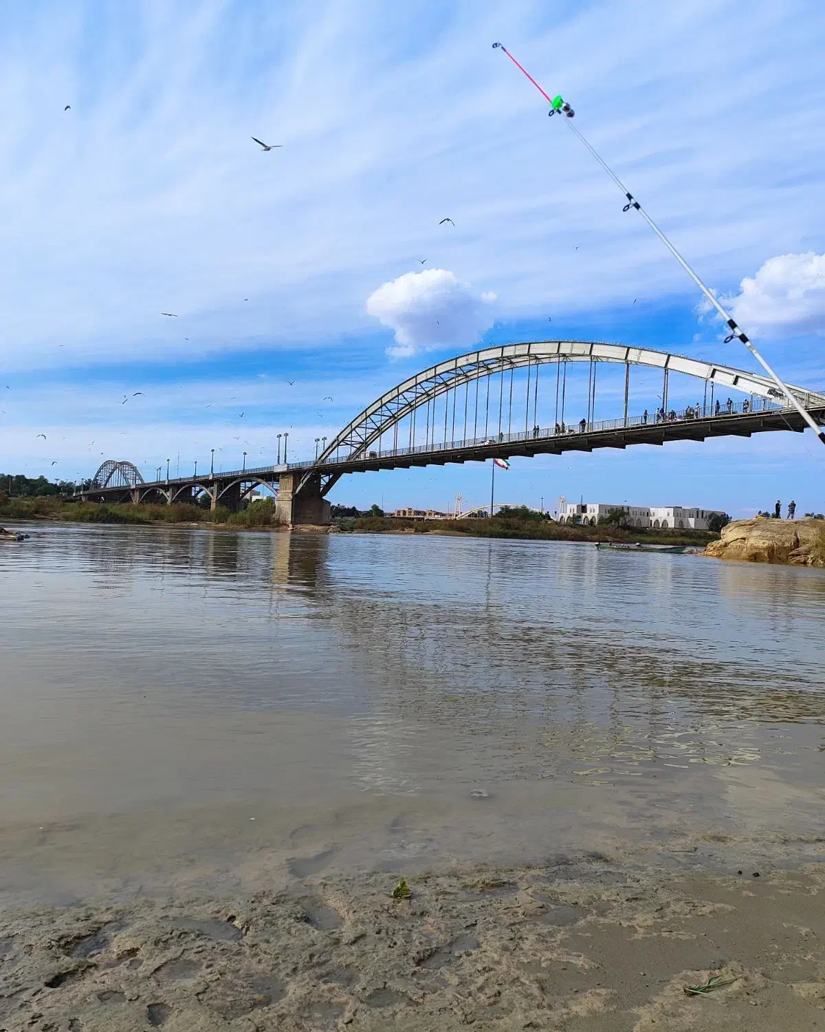 عقیقه انگشتر|کلکسیون اشیاء عتیقه|پردیس, فاز ۴|دیوار