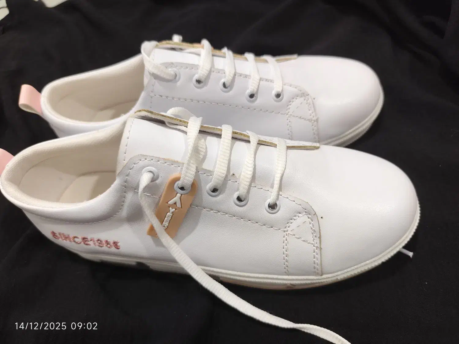 کفش سایز چهل|کیف، کفش، کمربند|دوگنبدان, |دیوار