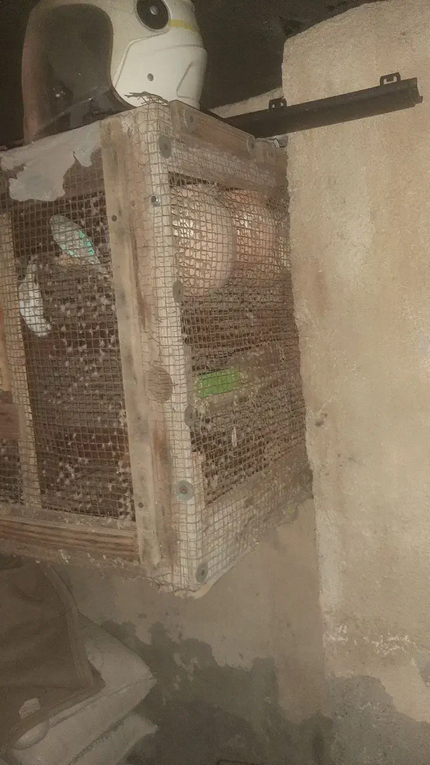 قفس چوبی با  فنس خوب و محکم.قیمت توافقی|لوازم جانبی حیوانات|بندرعباس, |دیوار