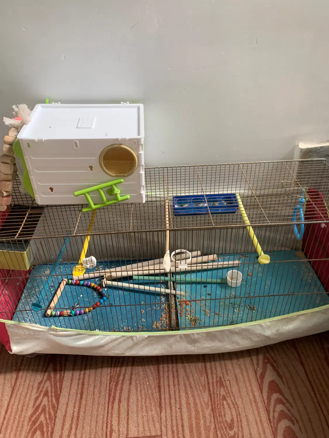 قفس و لونه پرنده|لوازم جانبی حیوانات|قزوین, |دیوار