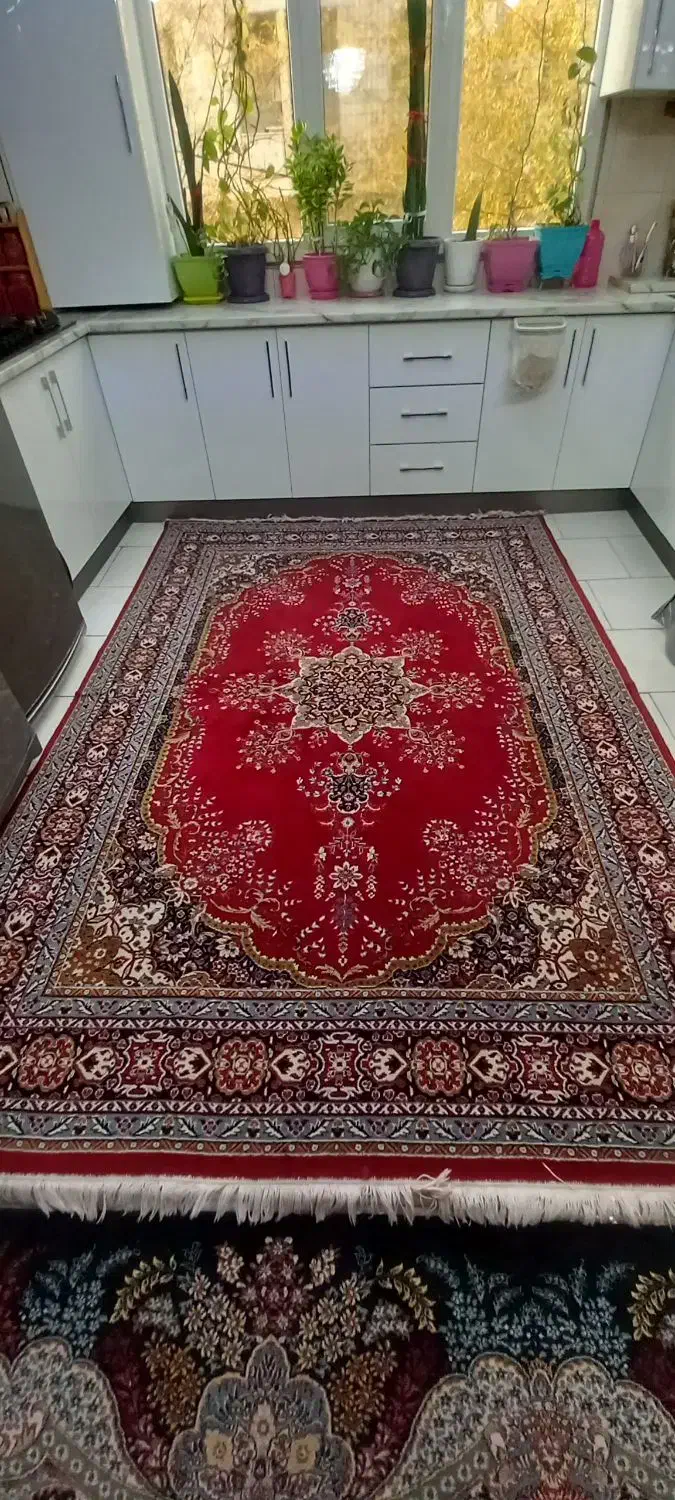 فرش ۶متری|فرش|قدس, شهرقدس|دیوار