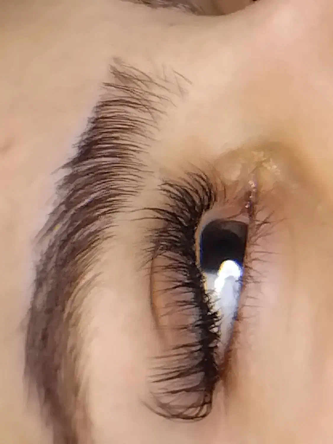 اکستنشن لیفت ولمینیت ابرو تخفیف قبل عیدی|خدمات آرایشگری و زیبایی|ورامین, ورامین|دیوار