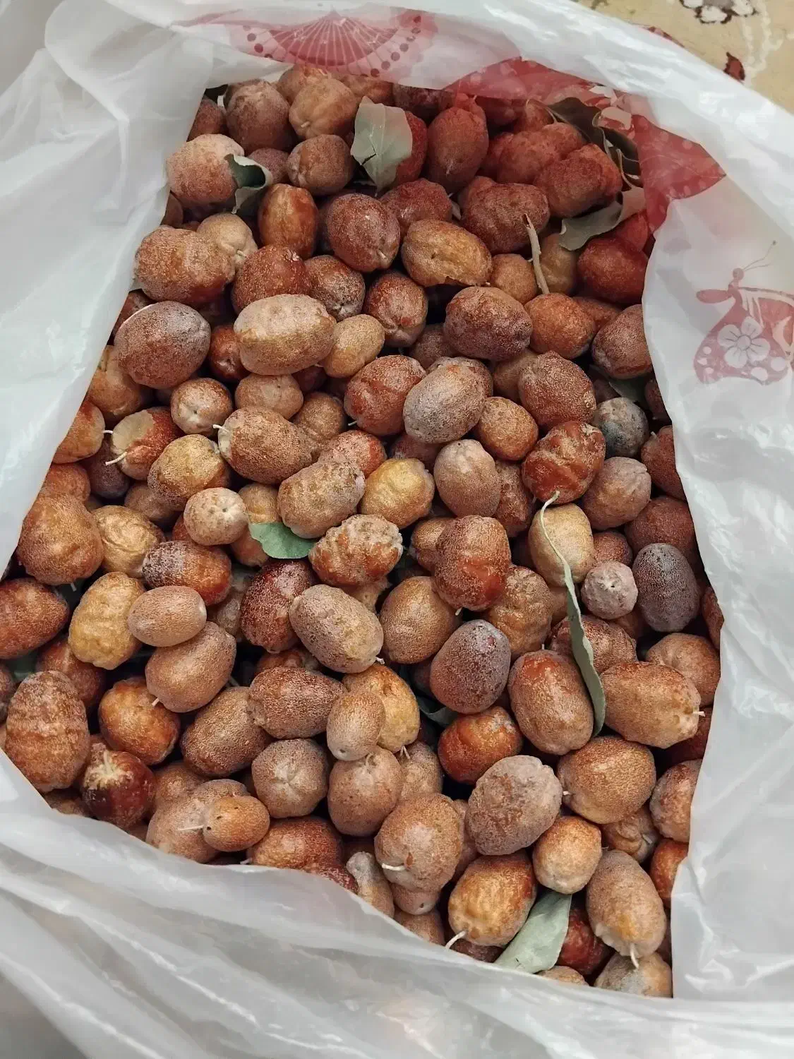 سنجد|خوردنی و آشامیدنی|قلندر آباد, |دیوار