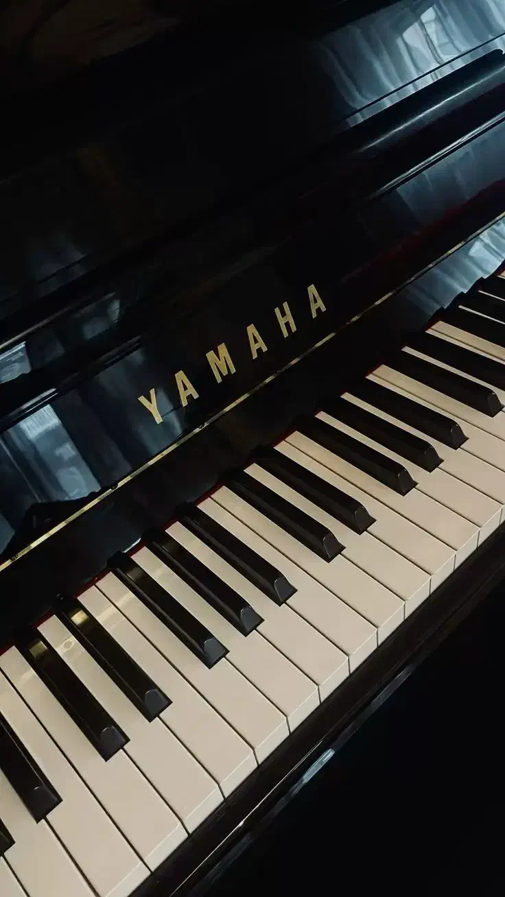 کمپانی پیانو نمایندگی .یاماها . سمیک|پیانو، کیبورد، آکاردئون|کرج, کوی کارمندان جنوبی|دیوار