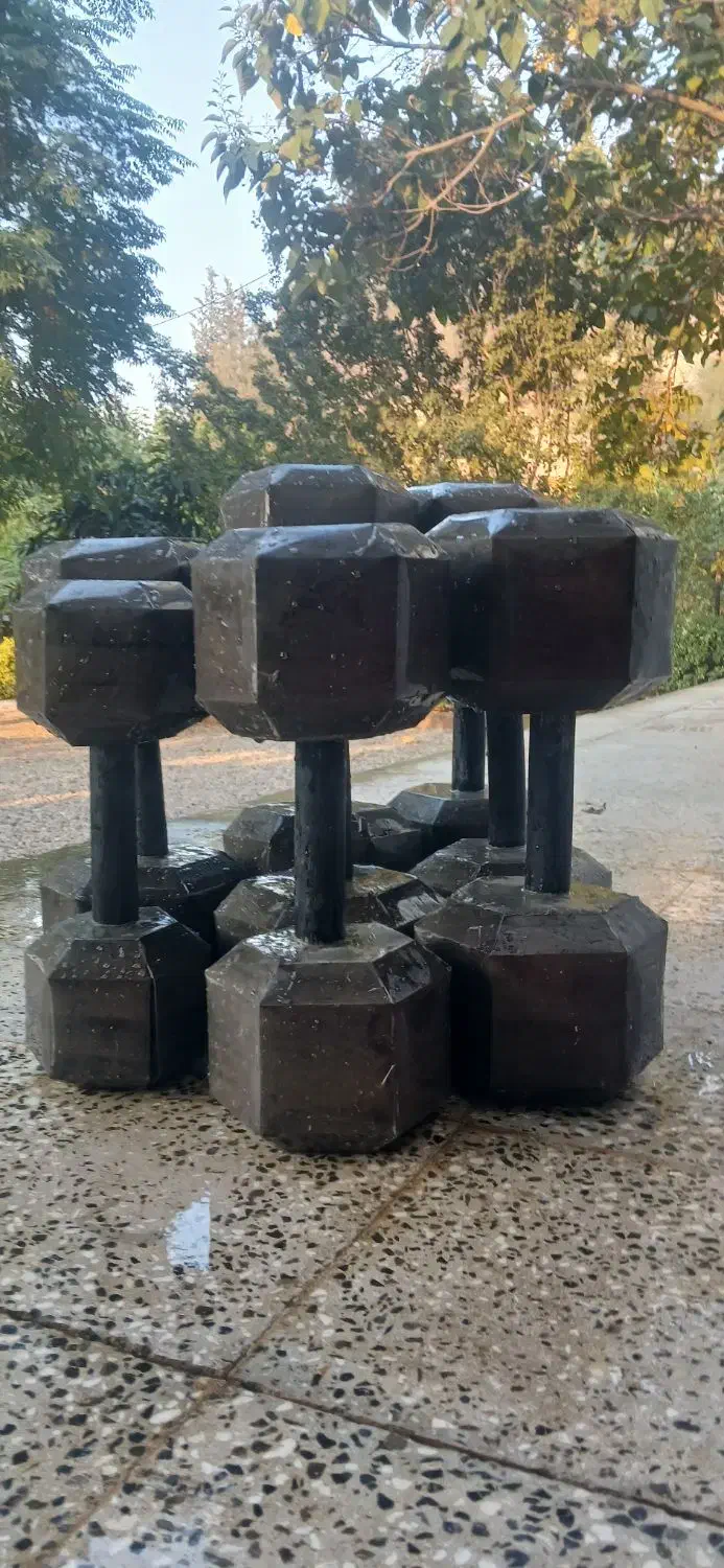 دمبل شش ضلعی*Cat Fit* با ارسال رایگان|تجهیزات ورزشی|گرگان, |دیوار