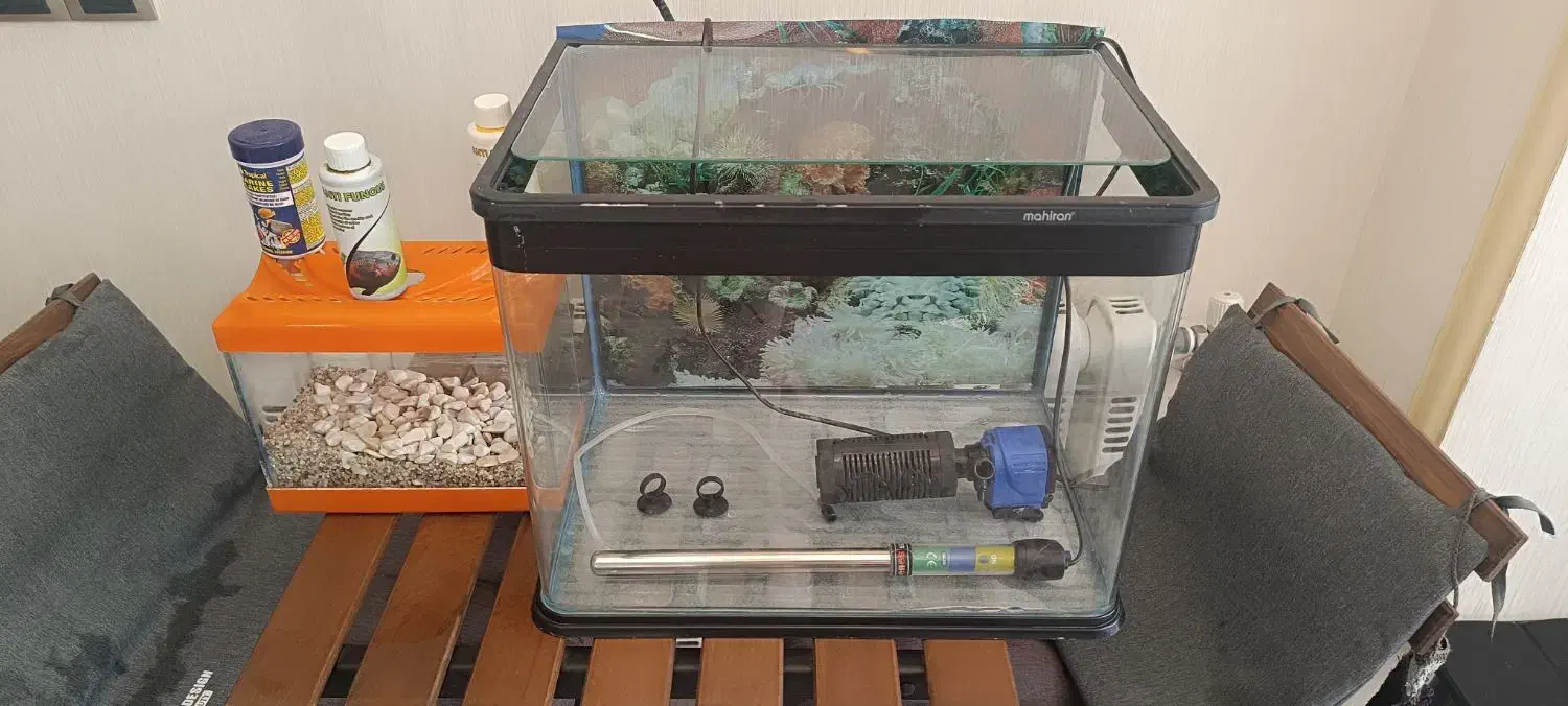 آکواریوم ماهیران شیشه خم با کل وسائل|ماهی|تهران, هروی|دیوار