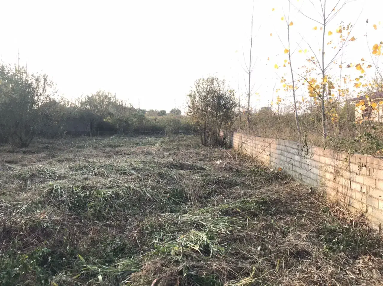 ۷۰۰متر زمین موروثی نزدیک بافت|فروش زمین و ملک کلنگی|عباس‌آباد, |دیوار