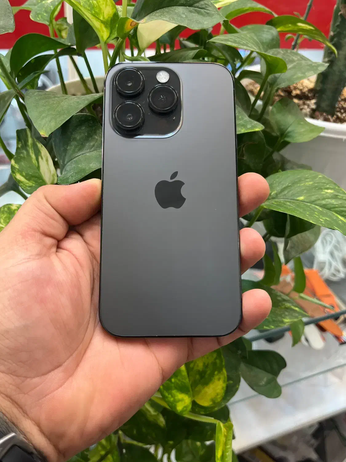 Iphone 14 pro|موبایل|شیراز, گود عربان|دیوار