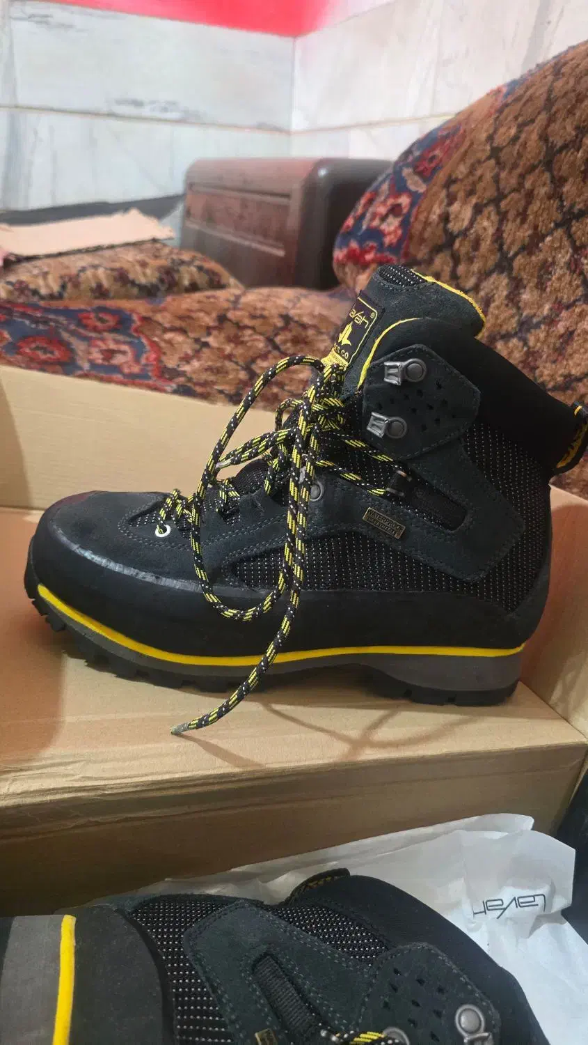 کفش|کوهنوردی و کمپینگ|سنقر, |دیوار