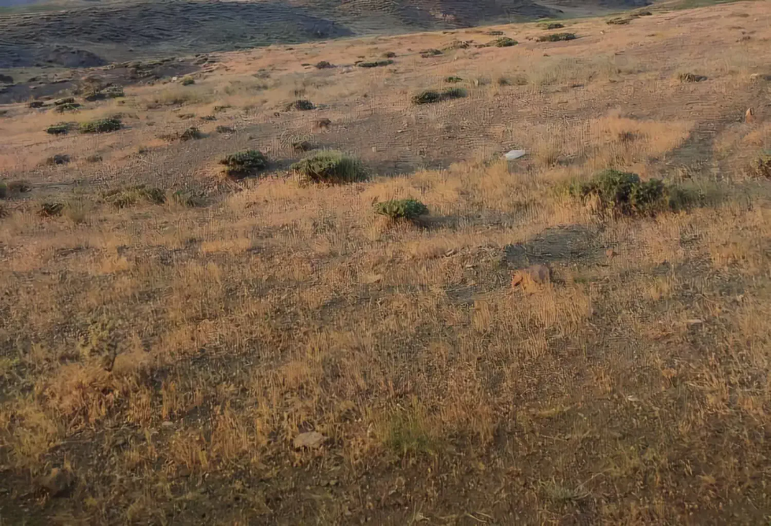 زمین ۴۰۰ متری|فروش زمین و ملک کلنگی|عنبران, |دیوار