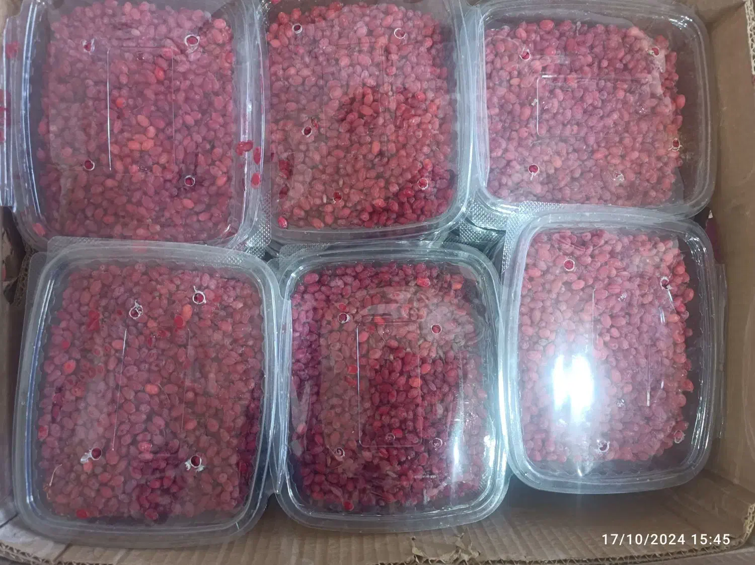 کارتن موزی|عمدهفروشی|زاهدان, |دیوار