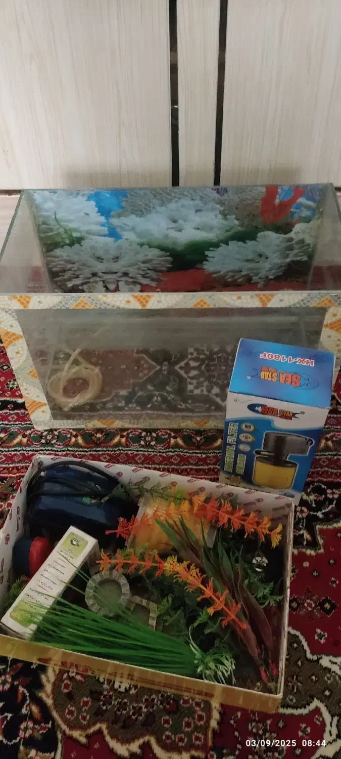 فروش آکواریوم با کلیه وسایل|ماهی|شهرکرد, |دیوار