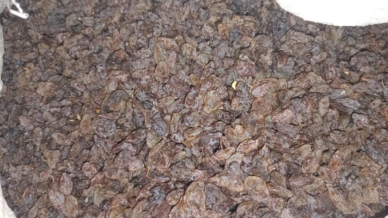 کشمش پولویی|خوردنی و آشامیدنی|شاهینشهر, شهرک گلدیس|دیوار