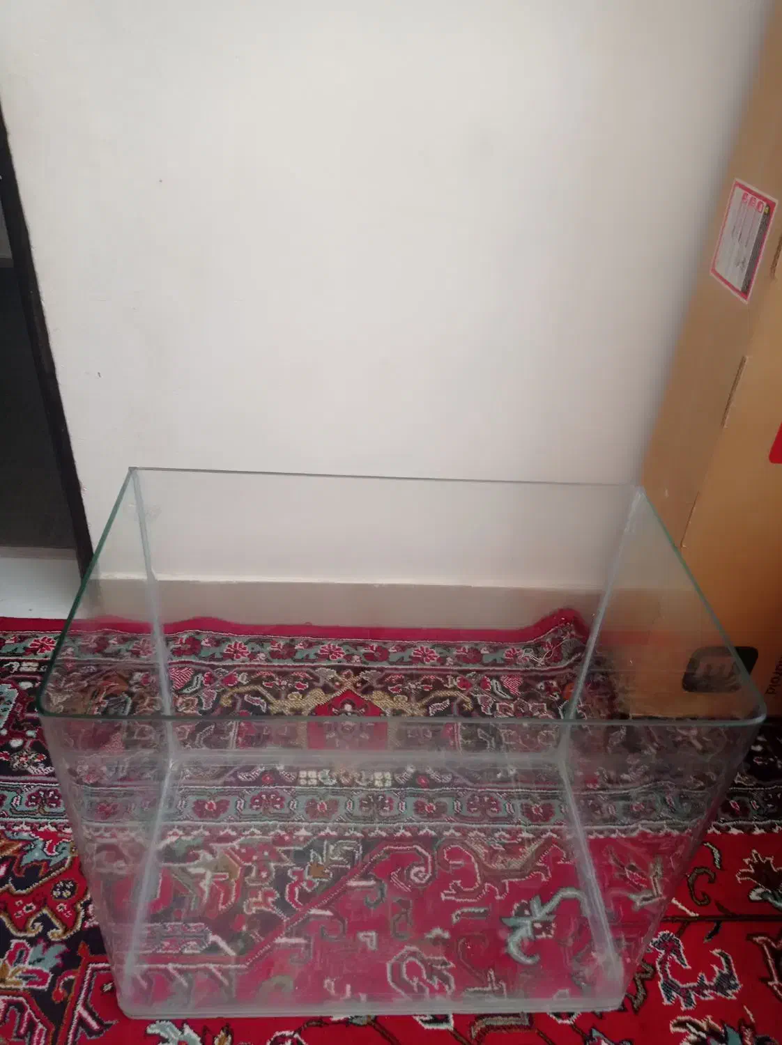 آکواریوم شیشه خم کارخونه ای|ماهی|قائن, |دیوار