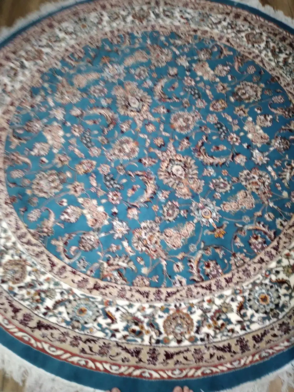 فرش گردفیروزه ای درحدنومناسب برای چهیزیه|فرش|گلبهار, شهر جدید گلبهار|دیوار