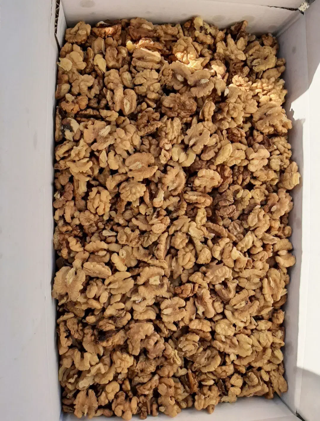 مغز گردو|خوردنی و آشامیدنی|قزوین, |دیوار