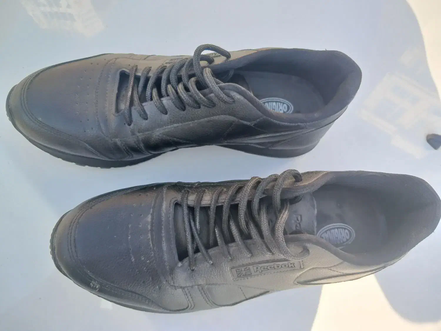 کفش|کیف، کفش، کمربند|مشهد, دانشجو|دیوار