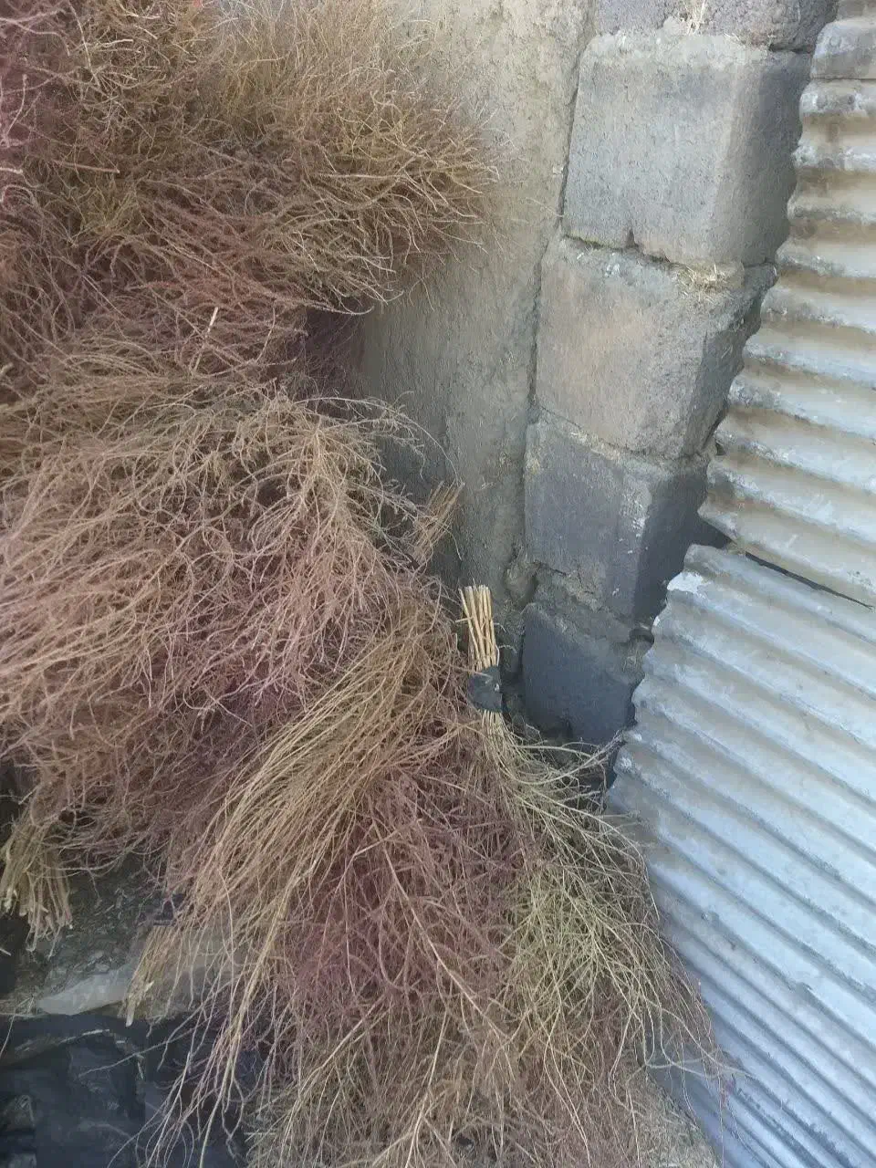 جارو...|لوازم نظافت|بلبان آباد, |دیوار