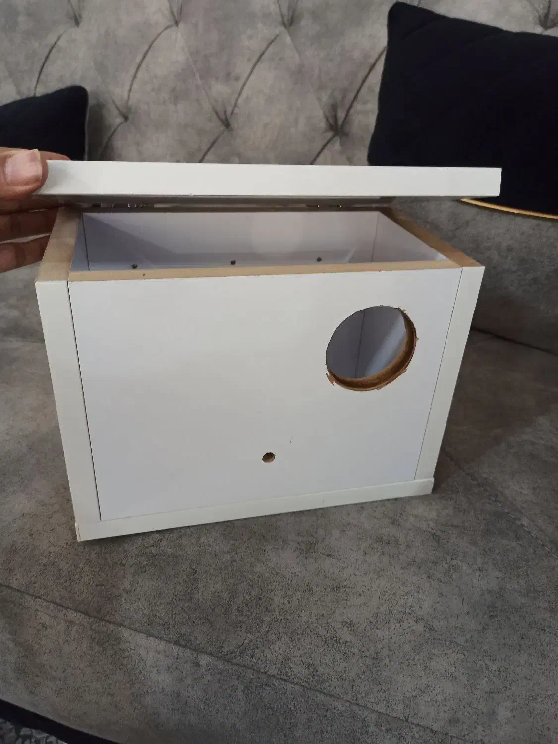 لانه طوطی برزیلی ، دانخوری چوبی طوطی|پرنده|اسلام‌‌آباد غرب, |دیوار