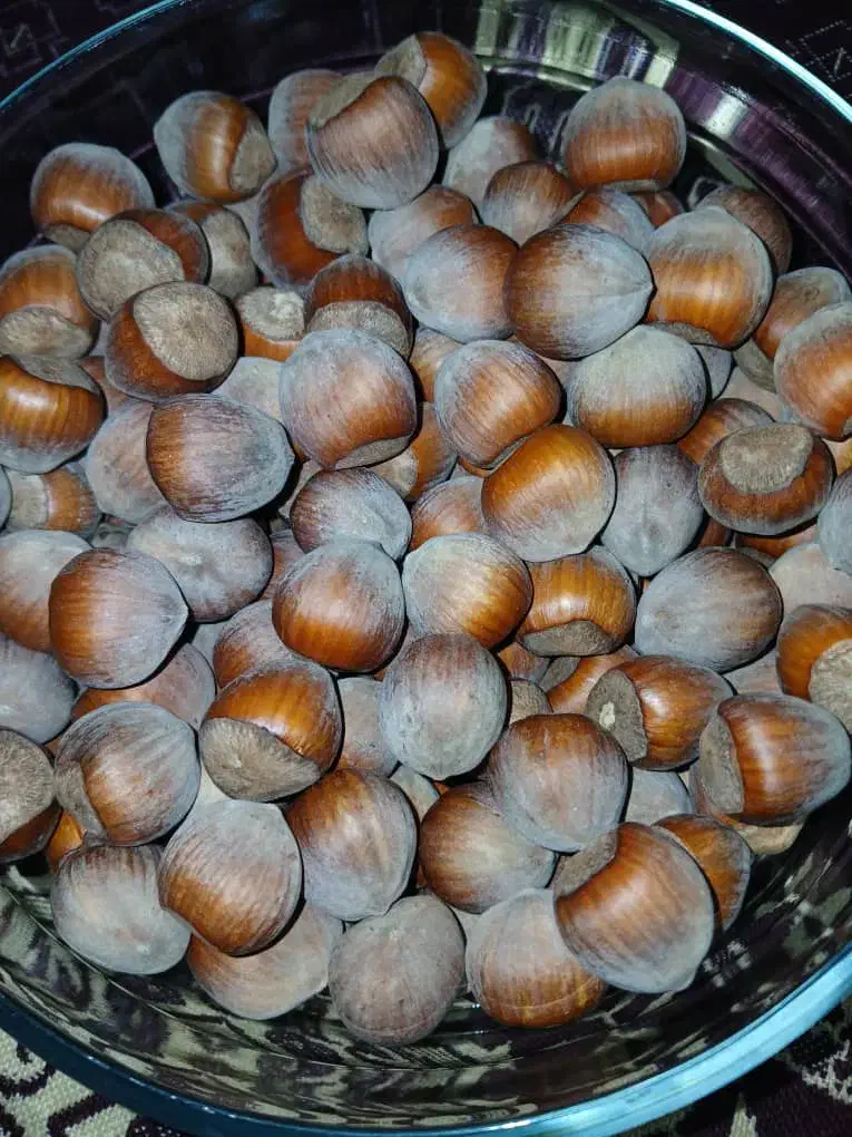 فندوق تازه|خوردنی و آشامیدنی|شهریار, شهریار|دیوار