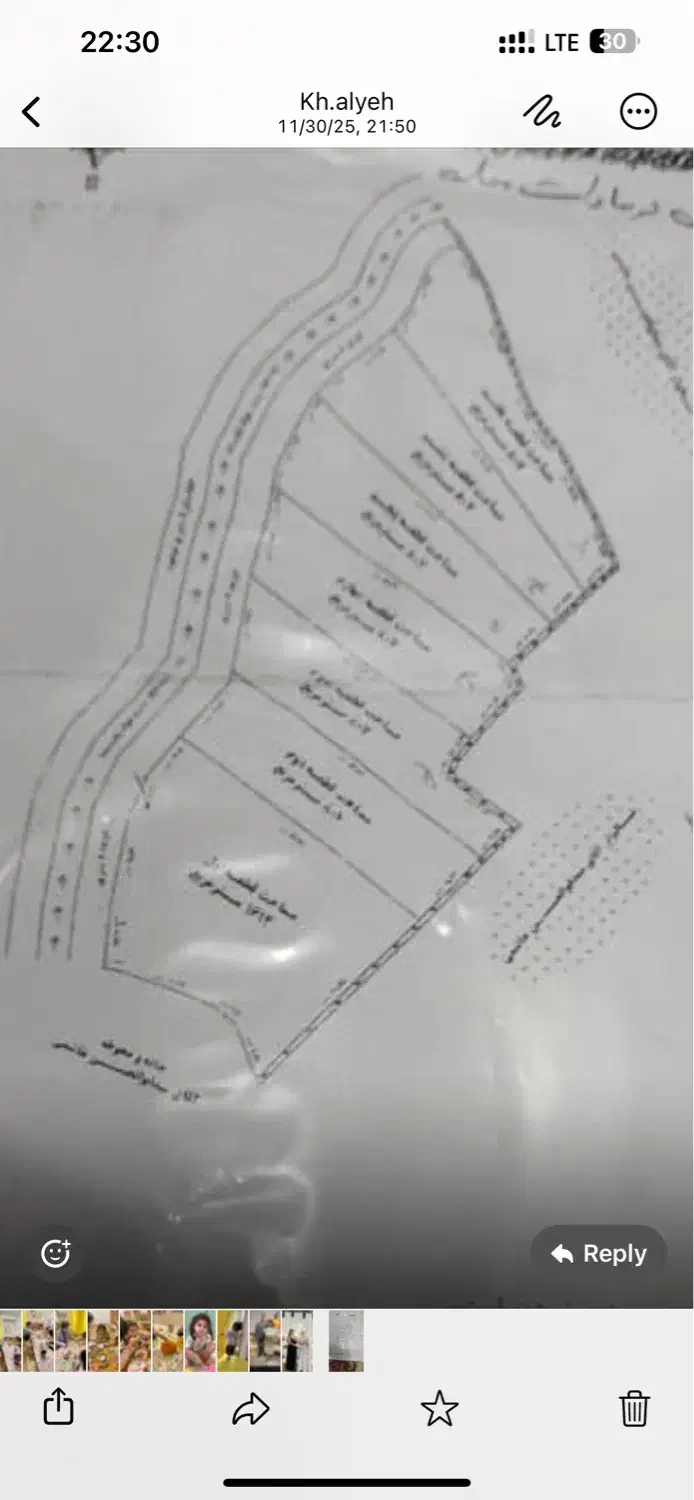 فروش زمین زراعی|فروش زمین و ملک کلنگی|خشکبیجار, |دیوار