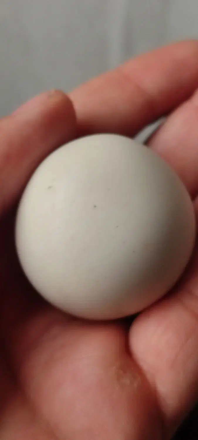 سنگ اصل آسیاب الماس|کلکسیون اشیاء عتیقه|تهران, جوانمردان (اندیشه)|دیوار