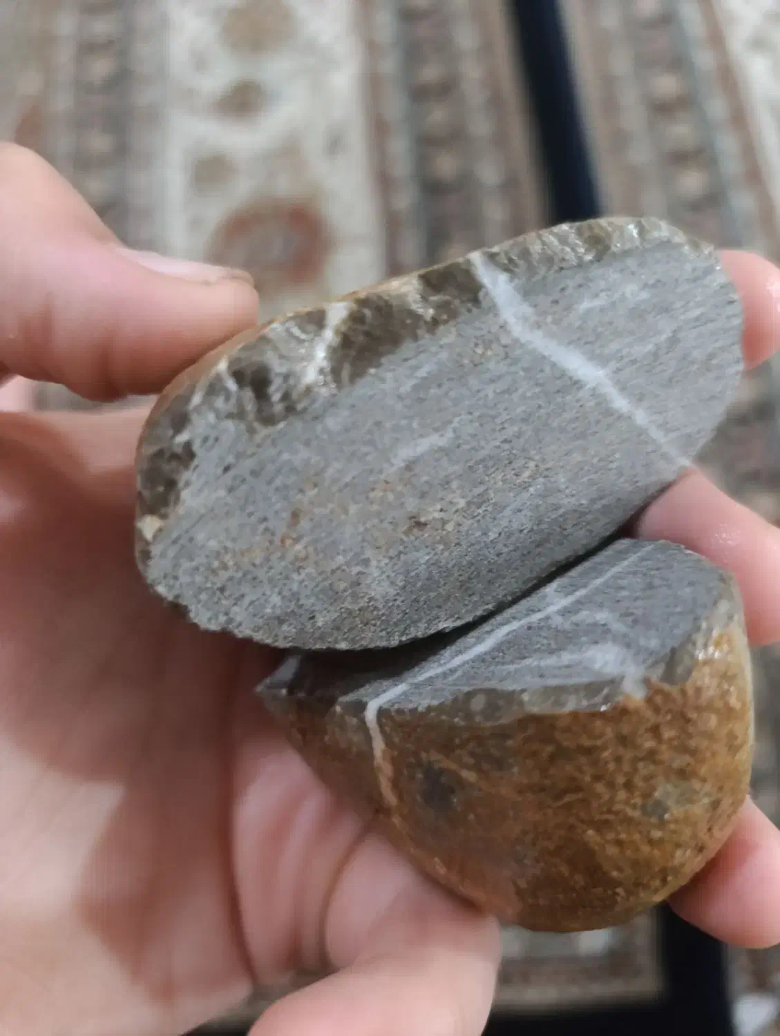 سنگ زینتی رگه دار|جواهرات|مرودشت, ژیان|دیوار