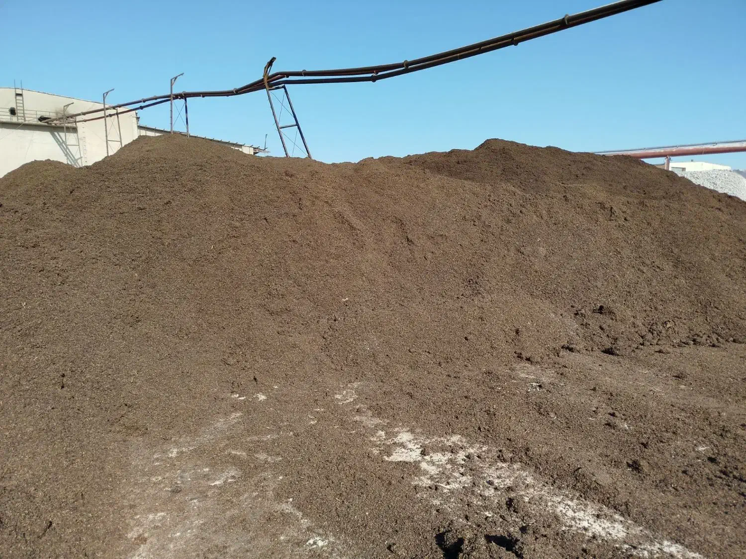 تفاله چغندر پرسی (دونم) وخشک|لوازم جانبی حیوانات|شیروان (خراسان), |دیوار