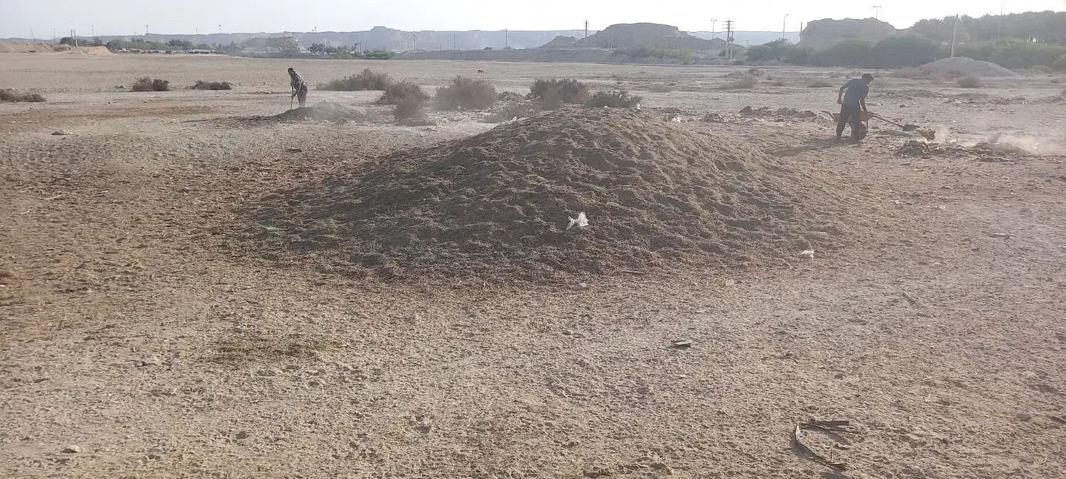 کود گوسفندی|خدمات باغبانی و درختکاری|بندرعباس, |دیوار